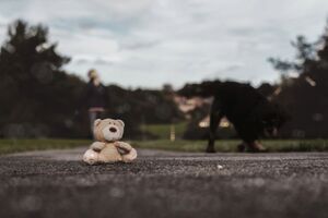 Кравченко заявил, что ребенок умер из-за безразличия взрослых