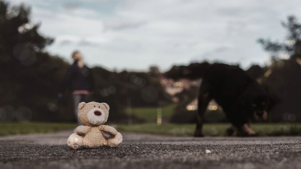 Кравченко заявив, що дитина померла через байдужість дорослих