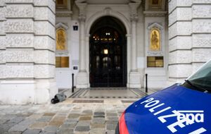 Віденська поліція виявила згорілий автомобіль із тілом українця 27 листопада