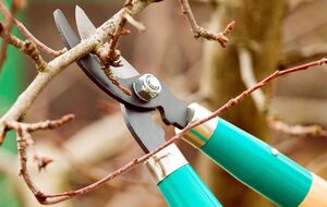 Инструмент должен быть чистым и острым