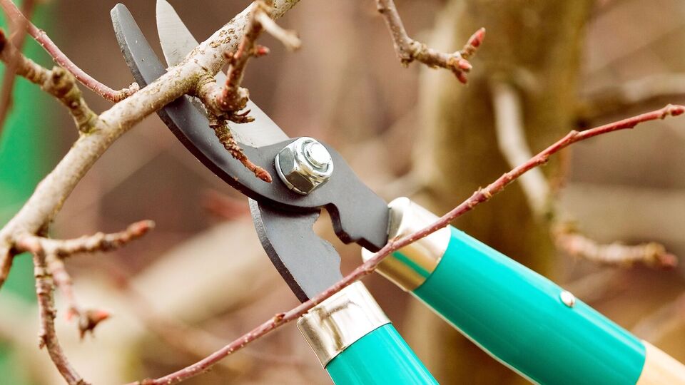 Инструмент должен быть чистым и острым