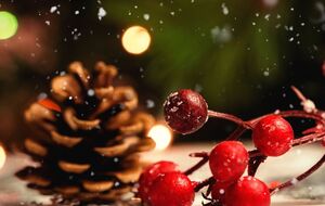 Синоптикиня прогнозує похолодання на Різдво