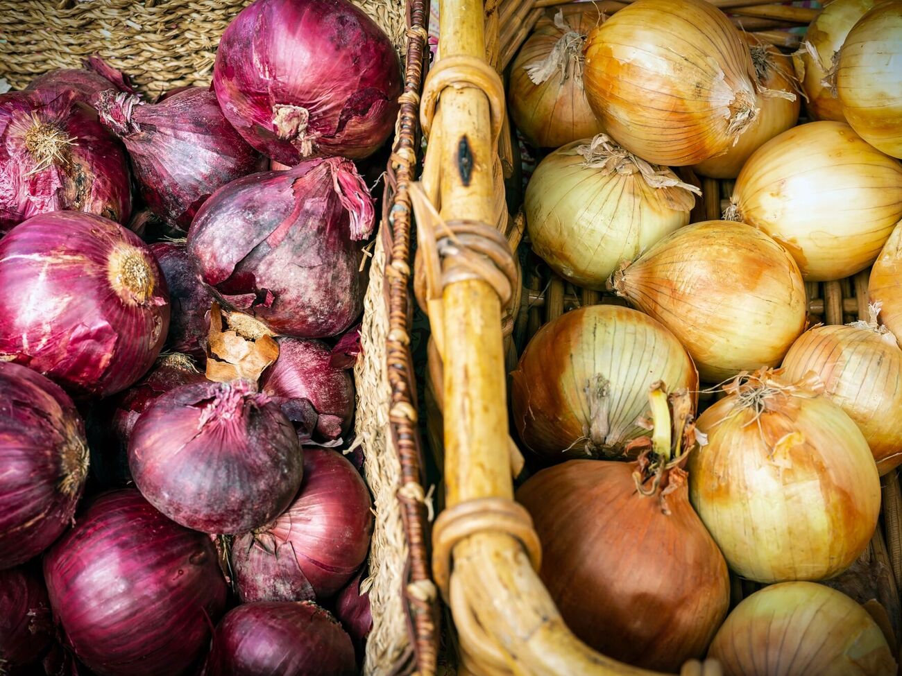 В помещение, где хранится лук, не должен попадать солнечный свет