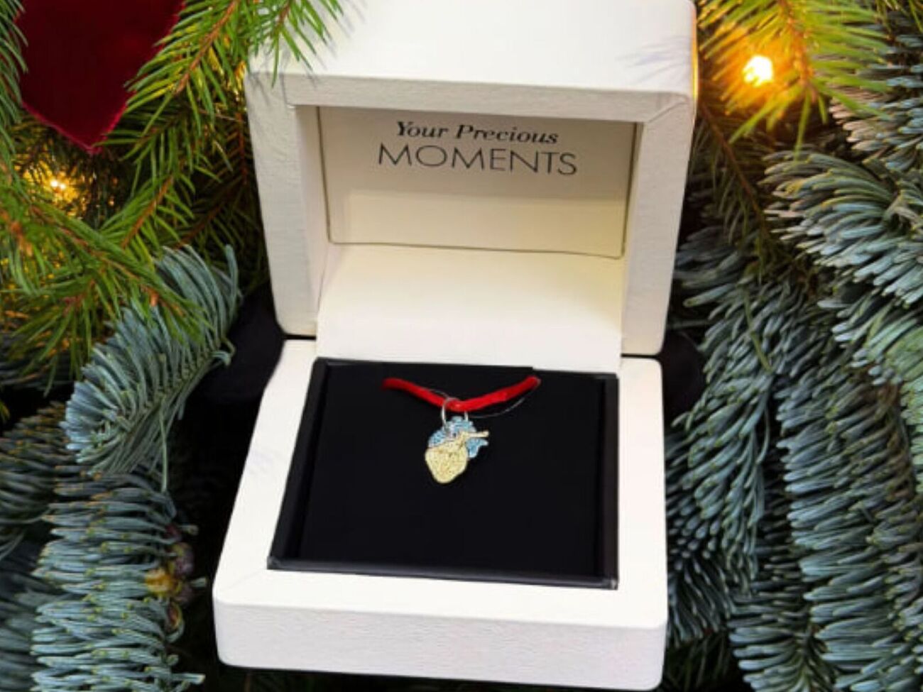 Усі зібрані кошти спрямують на придбання хірургічних інструментів для "Охматдиту"