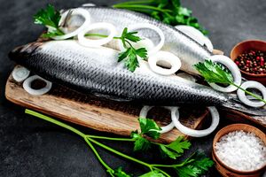 У самки селедки брюхо всегда выпуклое и полукруглое, а спина при этом ровная