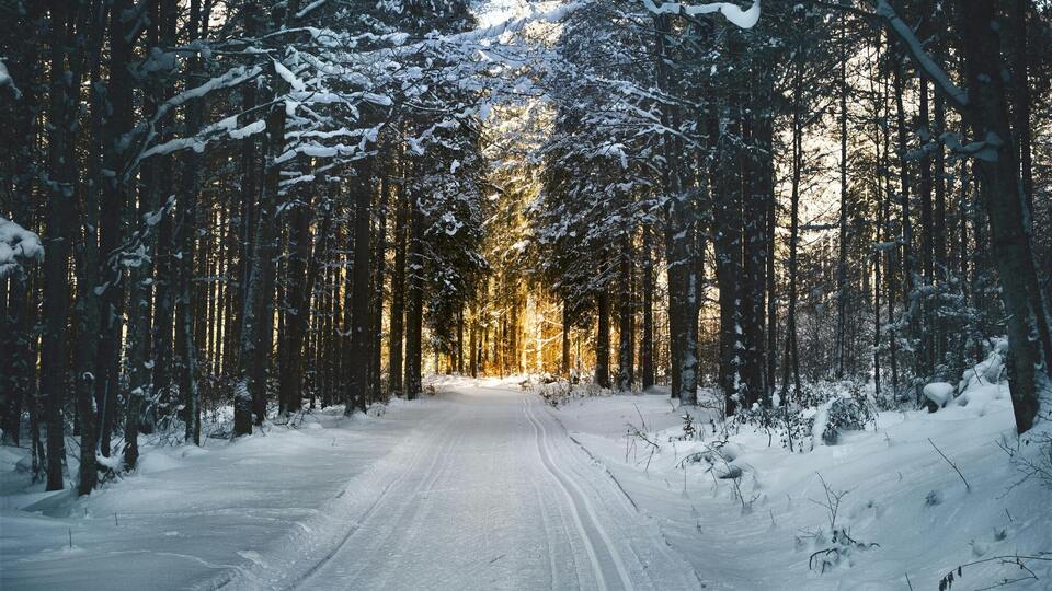 Кибальчич: На следующей неделе в Украине стоит ожидать настоящего похолодания