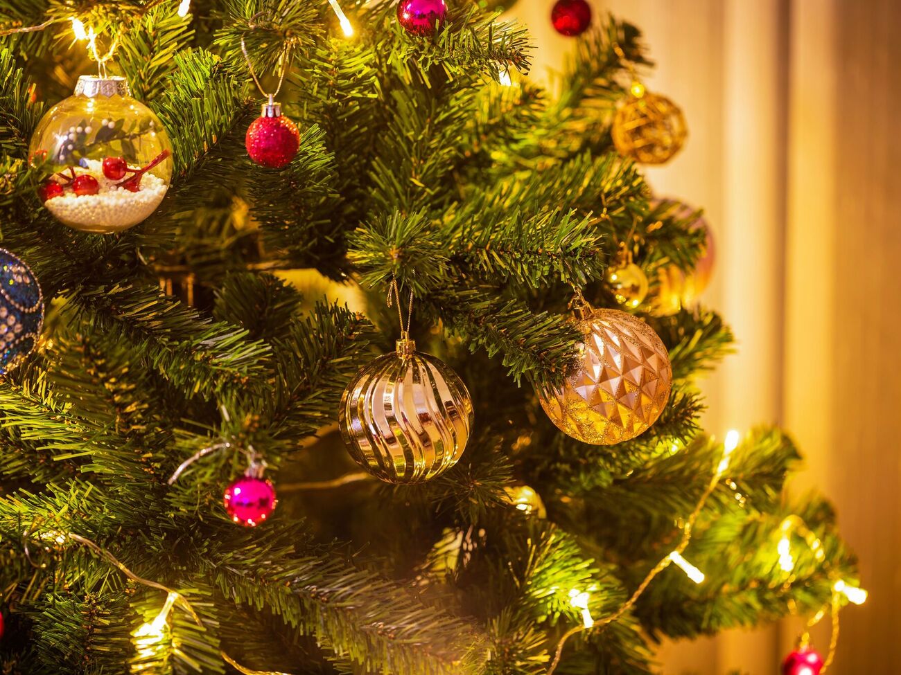 Сделайте раствор из воды и сока листьев алоэ, чтобы разбрызгать его на срубленное дерево