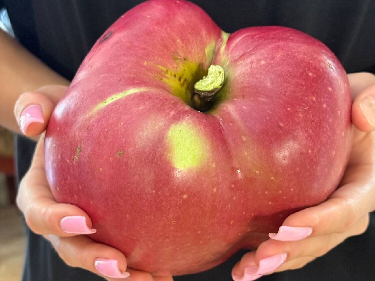 Рекордсмен присвятив своє досягнення бабусі й дідусю, які прищепили йому любов до садівництва з дитинства