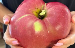 Рекордсмен присвятив своє досягнення бабусі й дідусю, які прищепили йому любов до садівництва з дитинства