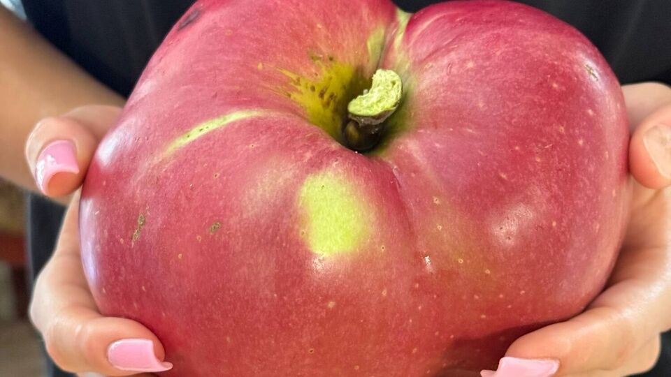 Рекордсмен посвятил свое достижение бабушке и дедушке, привившим ему любовь к садоводству с детства