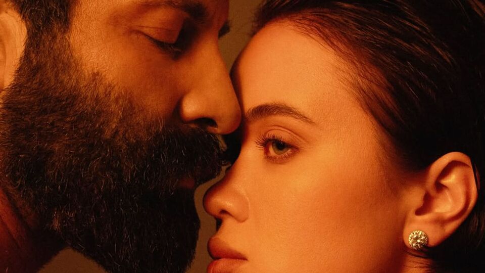 Lida Lee и Салем раньше утверждали, что просто дружат