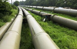 За $8 тыс. организаторы схемы планировали переправить мужчину на территорию Венгрии через нерабочую газовую трубу, сообщили правоохранители