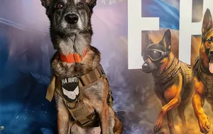 За время работы в кинологическом отряде "Антарес" Спарки разыскала более 200 тел погибших, рассказала его руководитель