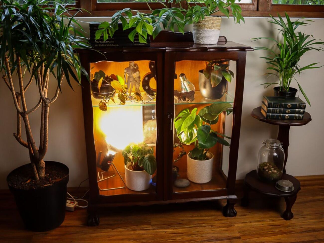 В комнатной оранжерее гораздо удобнее выращивать привередливые растения