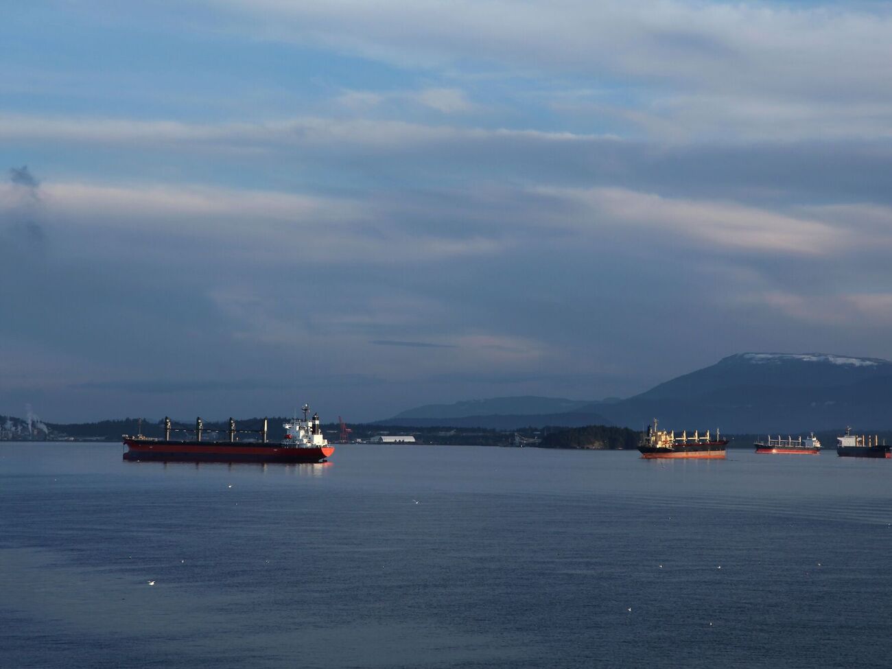 Танкер Bella 1 внесен в санкционные списки США