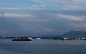 Танкер Bella 1 внесен в санкционные списки США