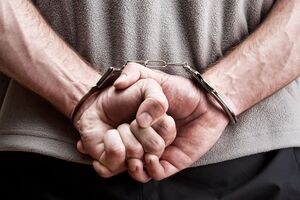 По данным следствия, украинец и его сообщники готовили серию взрывов на грузовых перевозках, пакеты должны были отправлять в Украину