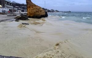 Размер и происхождение пятен на данный момент выясняют, отметил Лысак