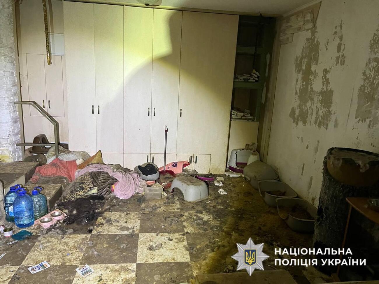 В приюте животных содержали в антисанитарных условиях, заявили в полиции