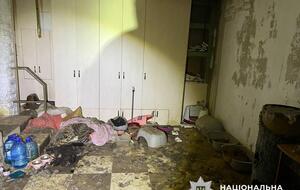 В приюте животных содержали в антисанитарных условиях, заявили в полиции