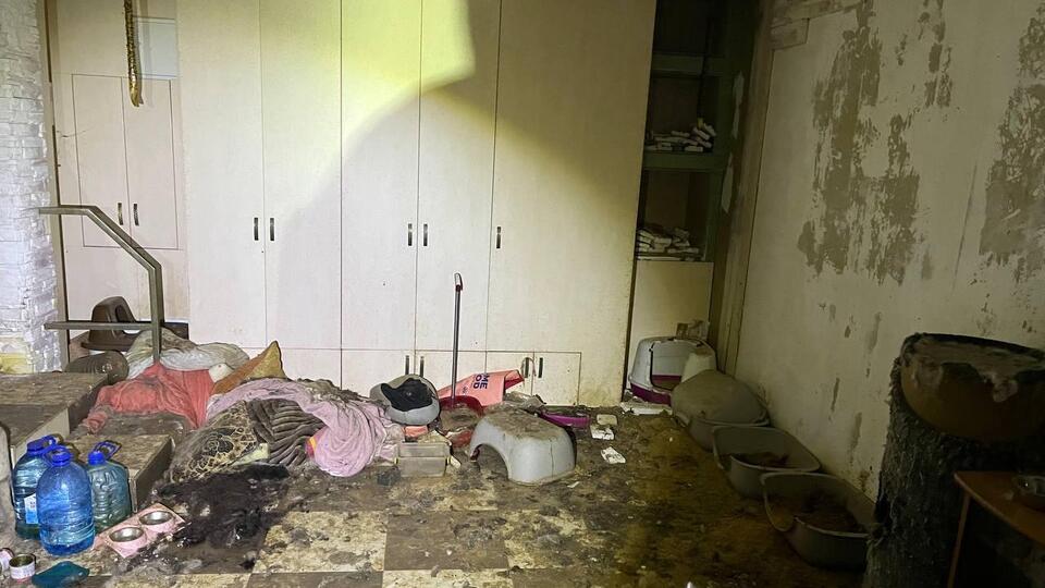 В приюте животных содержали в антисанитарных условиях, заявили в полиции