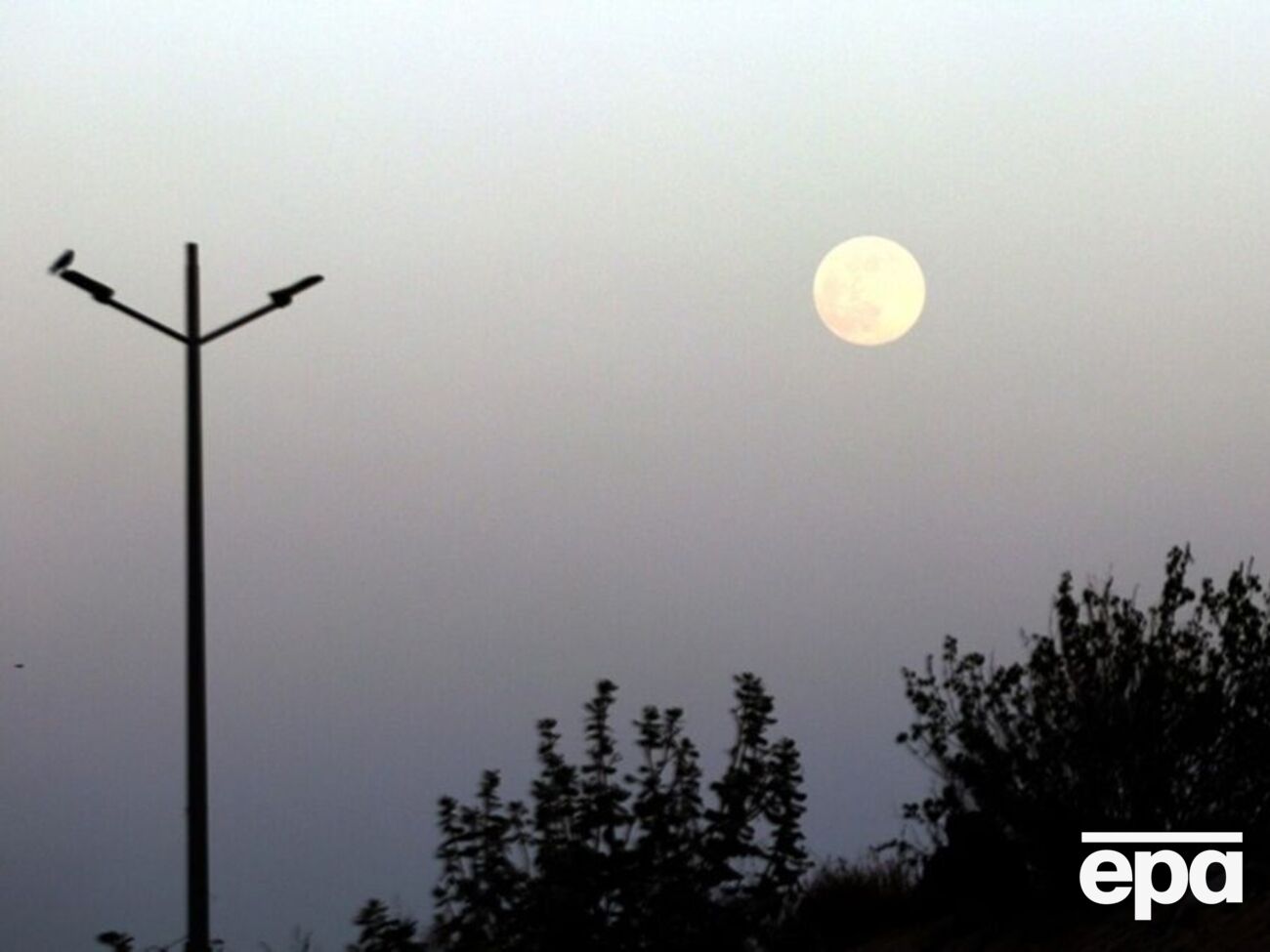 Реализацию плана в РФ хотят начать уже в 2025 году