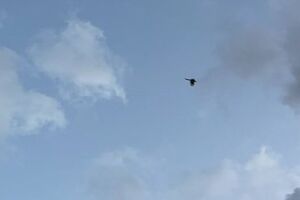 Вибух в Умані пролунав об 11.32, повідомили ЗМІ