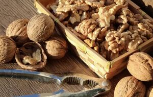 Якщо в горіхів з'явився запах цвілі або вони стали гіркими, їх краще викинути