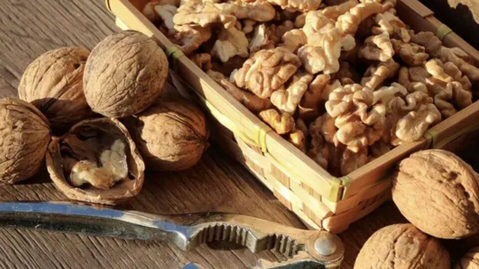 Якщо в горіхів з'явився запах цвілі або вони стали гіркими, їх краще викинути