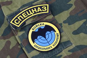 В результате операции СБС в Бердянском ликвидировано/потерзано более 120 спецназовцев ГРУ России, сообщил Бровди