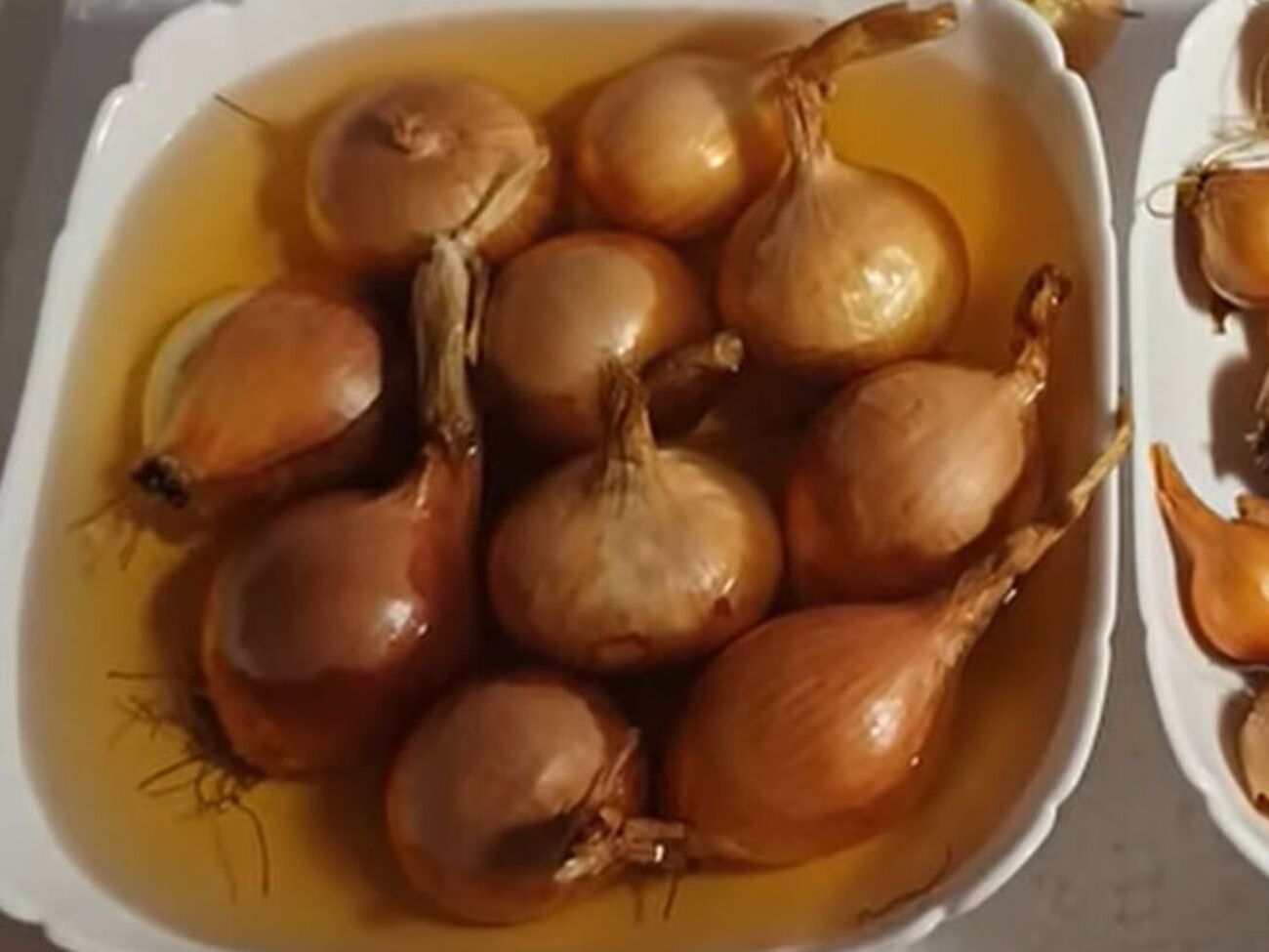 Для проращивания подходят только здоровые луковицы без признаков гниения или плесневого налета