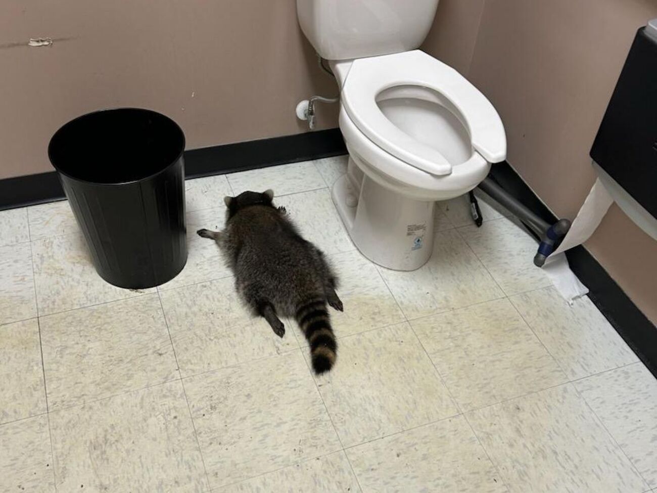 "Зломщика" виявили на місці злочину