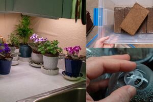 Эти пять вещей значительно облегчают уход за растениями