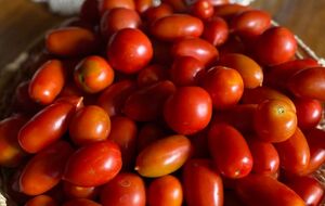 Кулінарка не рекомендує під час квашення додавати цукор