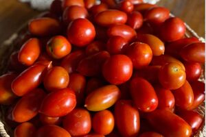 Кулинар не рекомендует во время квашения добавлять сахар