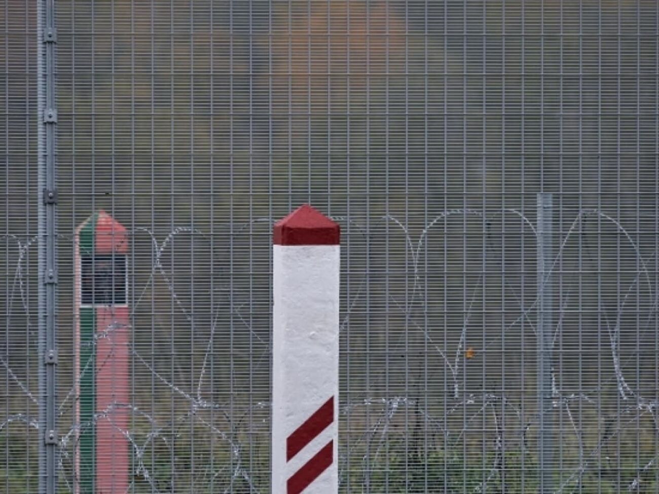 Строительство забора на границе с Россией обошлось в €166 млн