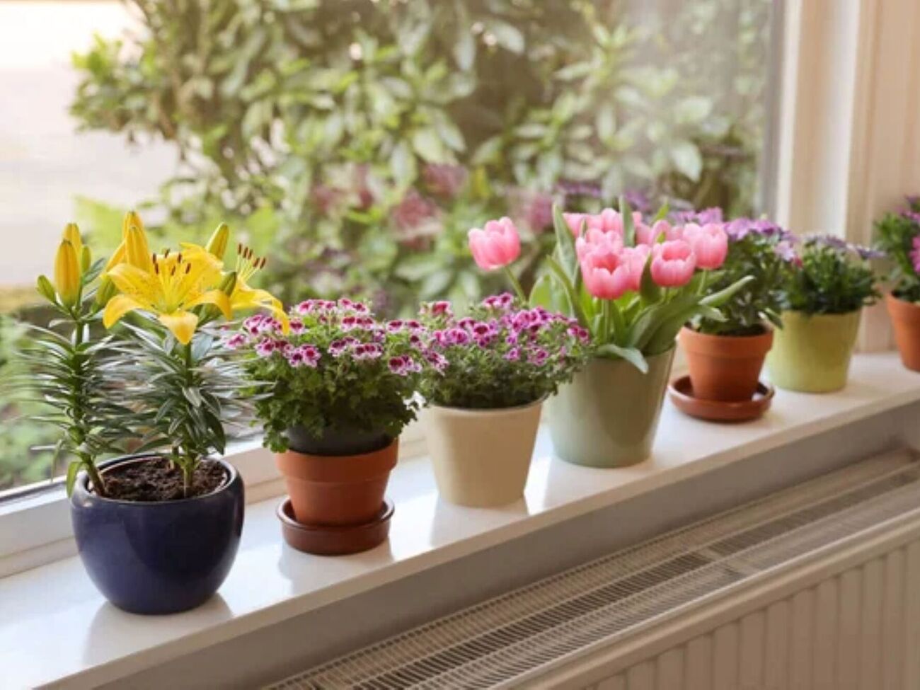 На дно цветочного горшка можно поместить корковые пробки