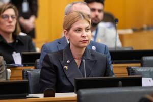 Стефанишина сообщила, что встреча Умерова с Виткоффом запланирована на 4 декабря