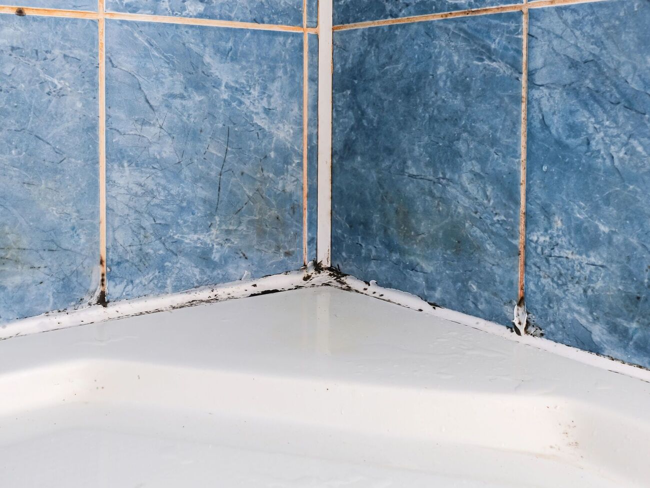 Чтобы плесень не распространялась, в ванной комнате должно быть сухо и чисто