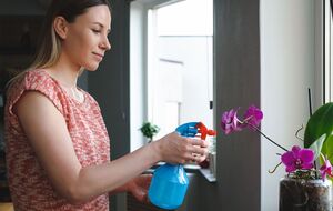 Оприскування проводять із певною періодичністю