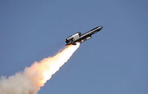 Компания Fire Point передала украинским военным очередную партию ракет "Фламинго", рассказал Лукацкий