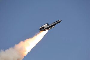 Компания Fire Point передала украинским военным очередную партию ракет "Фламинго", рассказал Лукацкий