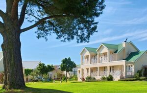 Высаживая рядом с домом лиственные деревья, есть риск, что они повредят строение