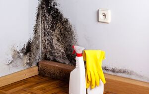 С плесенью помогут справиться сода, уксус, отбеливатель и другие вещества