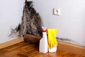 Із пліснявою допоможуть упоратися сода, оцет, відбілювач та інші речовини