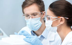 Ученые исследовали влияние диеты на процессы в мозге