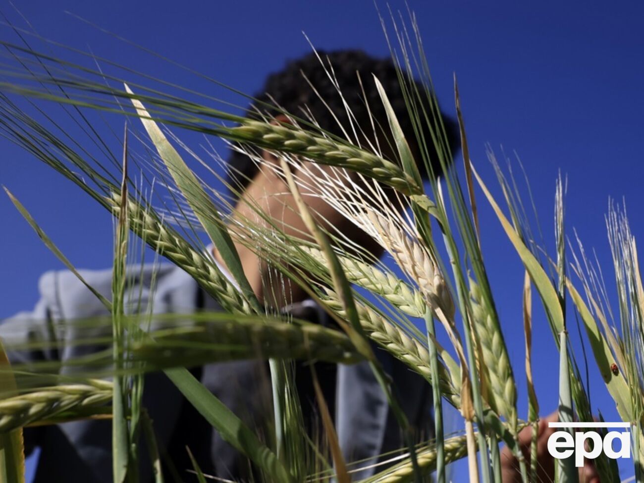 Вимирання на Землі спровокує підвищення температури, вважають учені