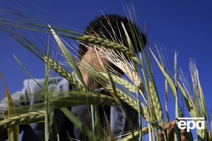 Вымирание на Земле спровоцирует повышение температуры, считают ученые