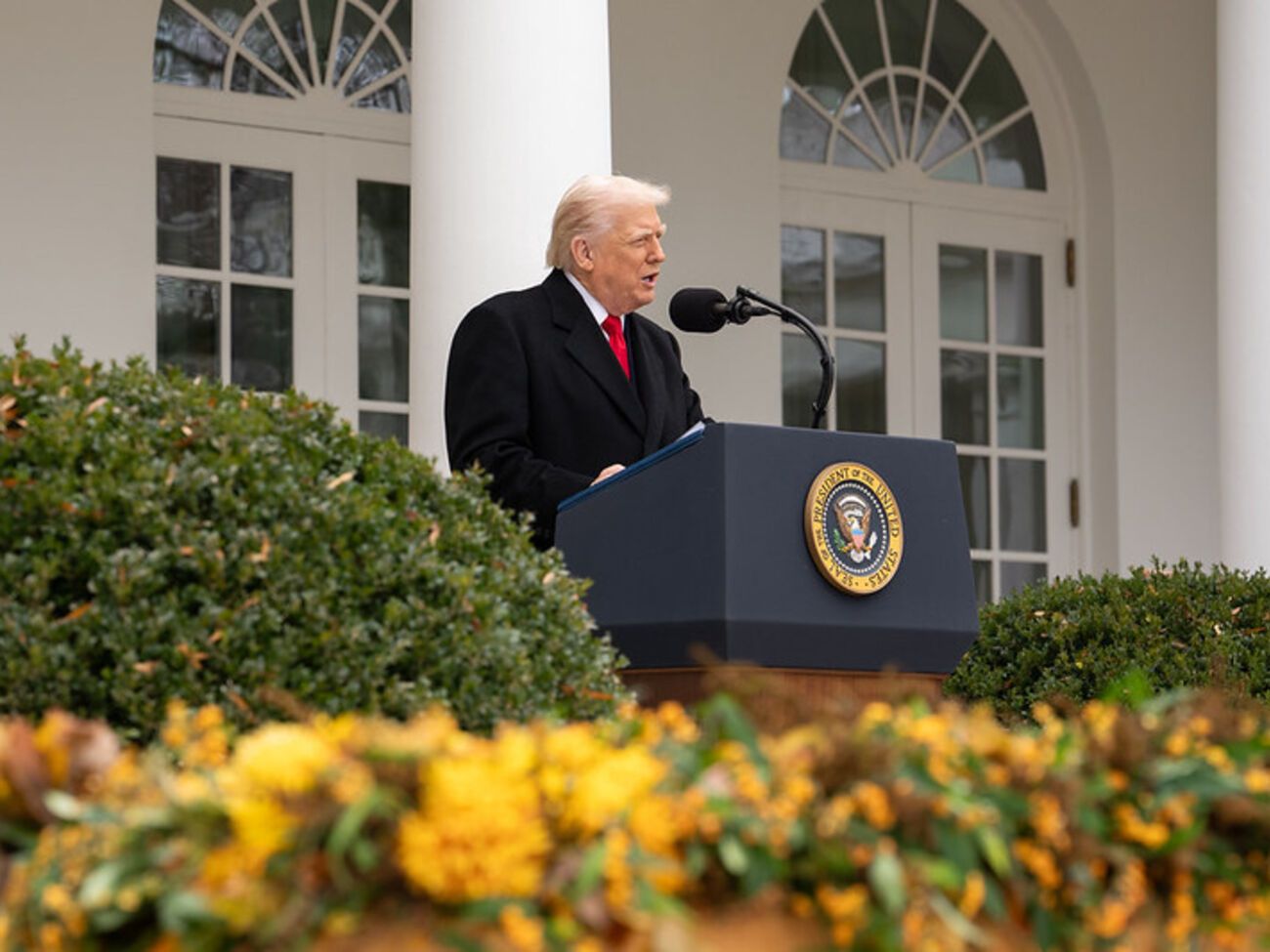 Представителей администрации Трампа нельзя обвинить в получении откатов, но их коррупция глубже, считает Эпплбаум