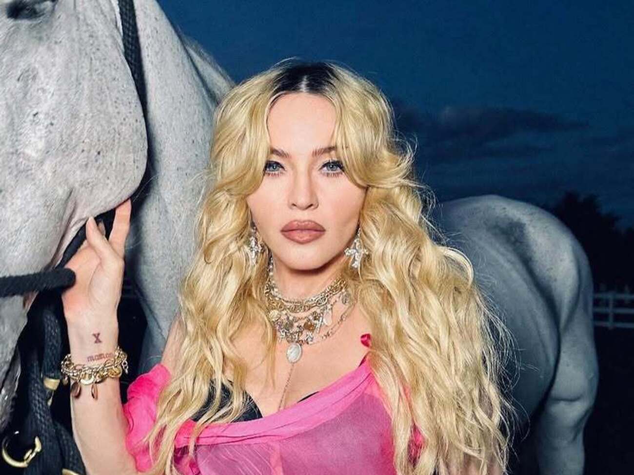 За словами Мадонни, поняття фашизму стало нормальним для сприйняття